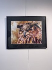 Drukwerk Oehoe ingelijst Kunstdruk Oehoe ingelijst